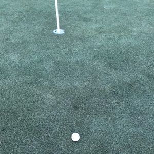 Meet your Posher, Frank